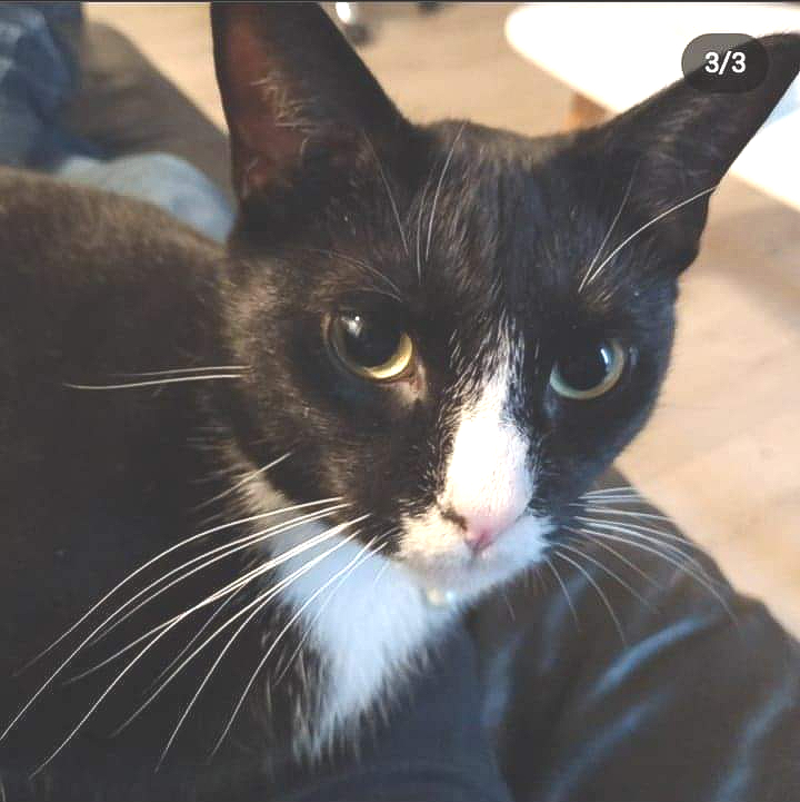 Angelo.