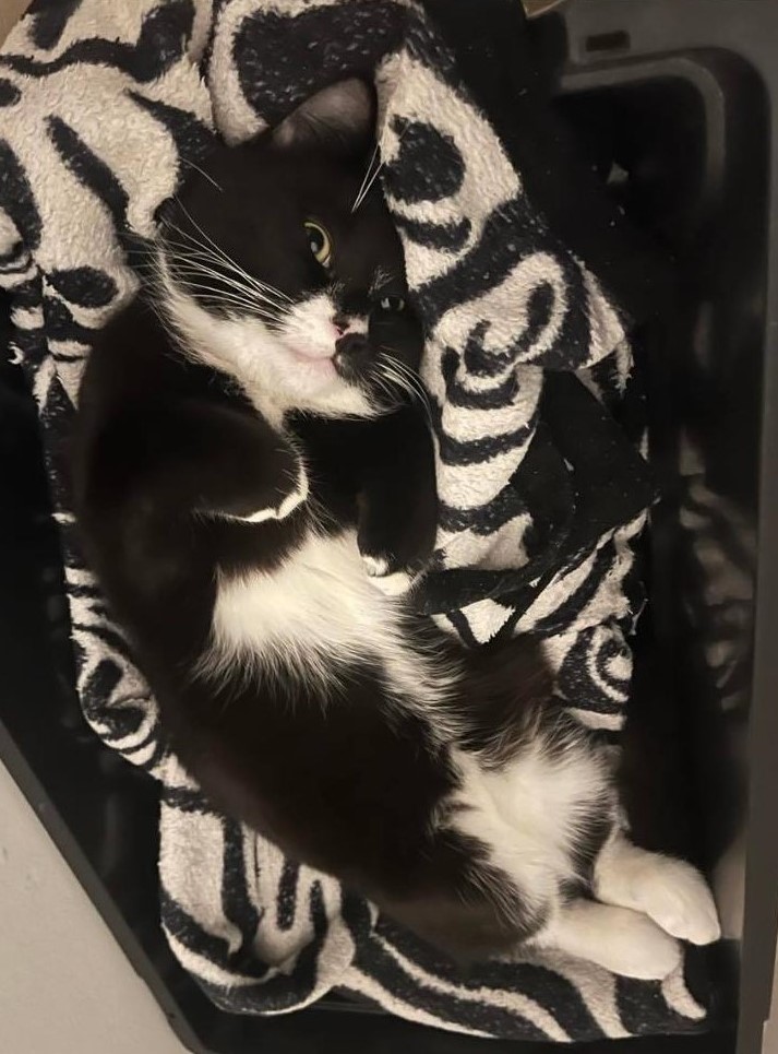 Astro.