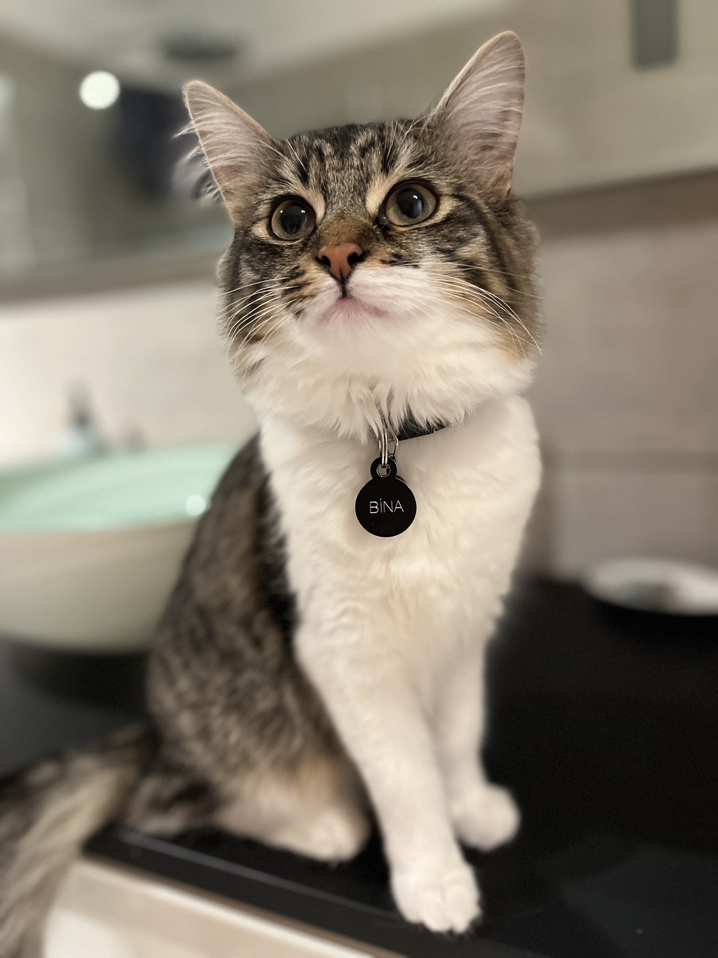 Bína.