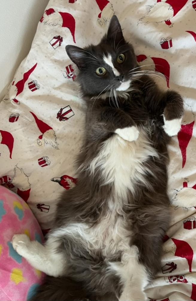 Bella.