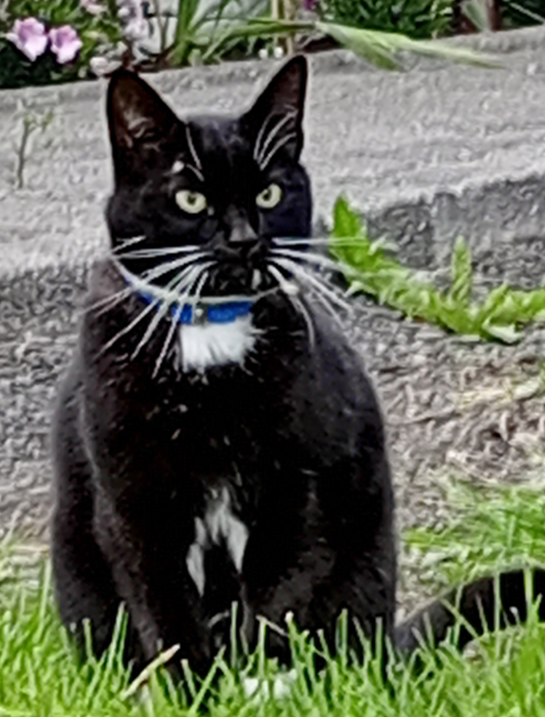 Fróði.