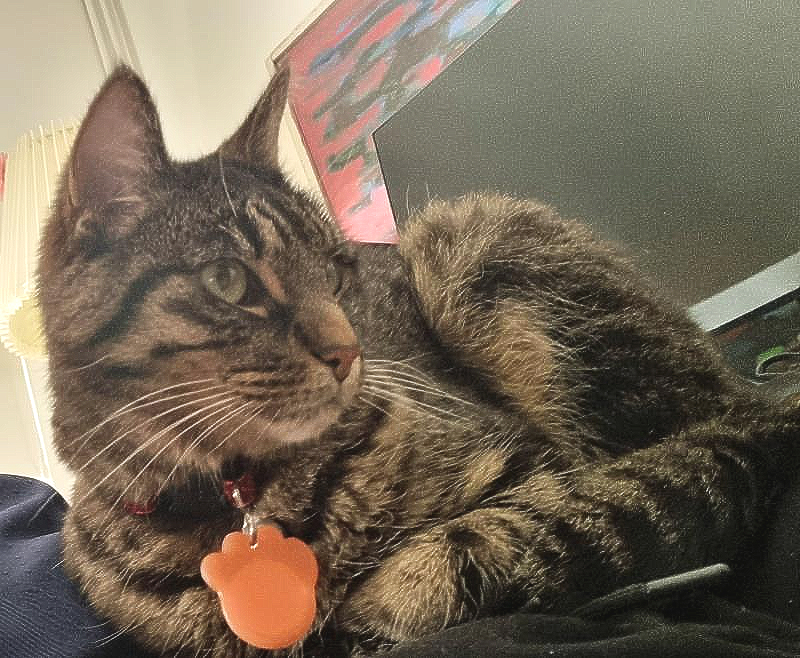 Freyja. 