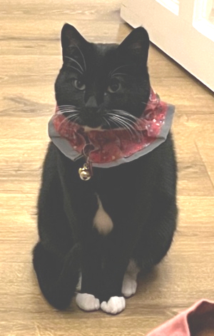 Friðdís.