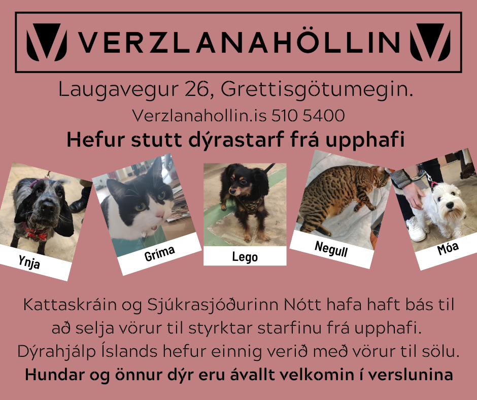 Kattaskráin og Verzlanahöllin.