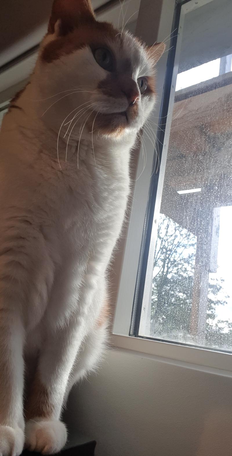 Leo.