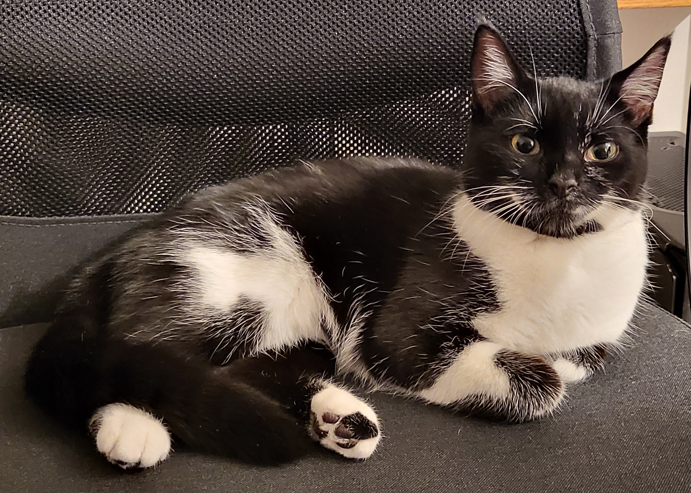 Millie. 