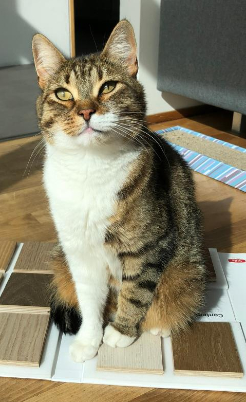 Milo.