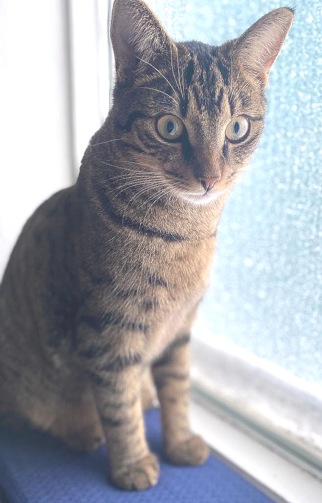 Misha.