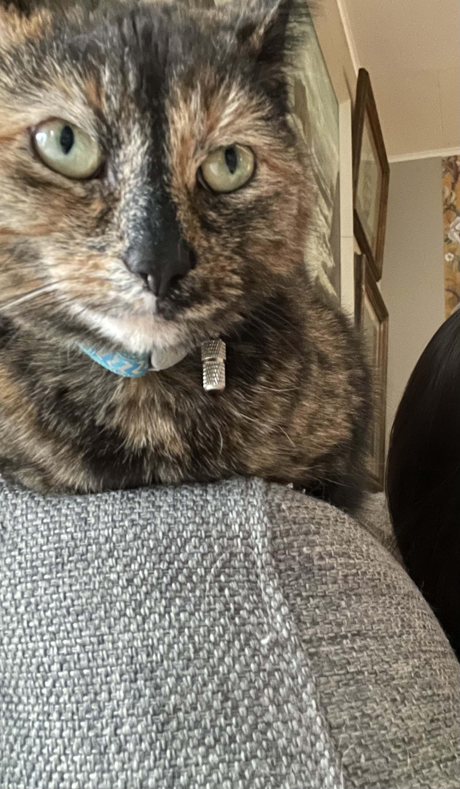 Nóra.