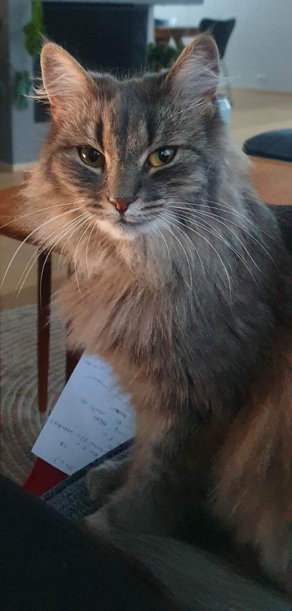 Nala.