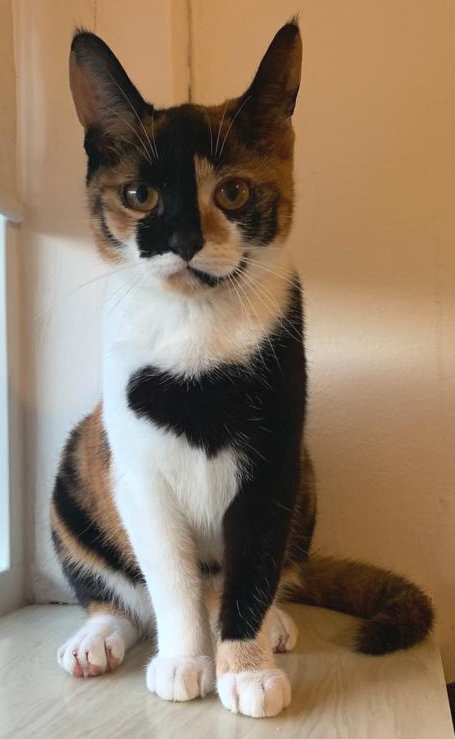 Nala.