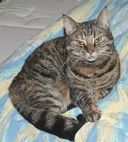 Perla.