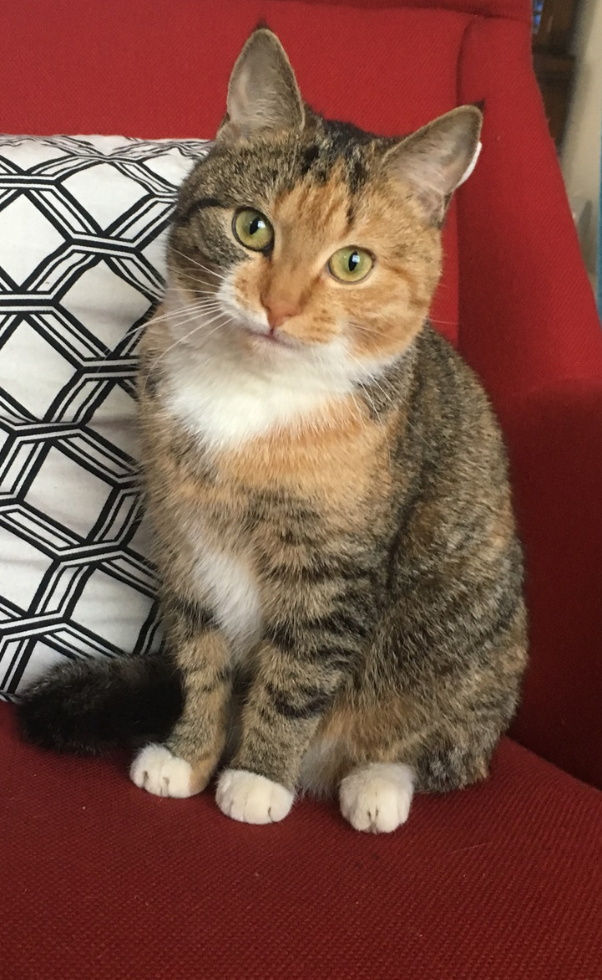 Freyja