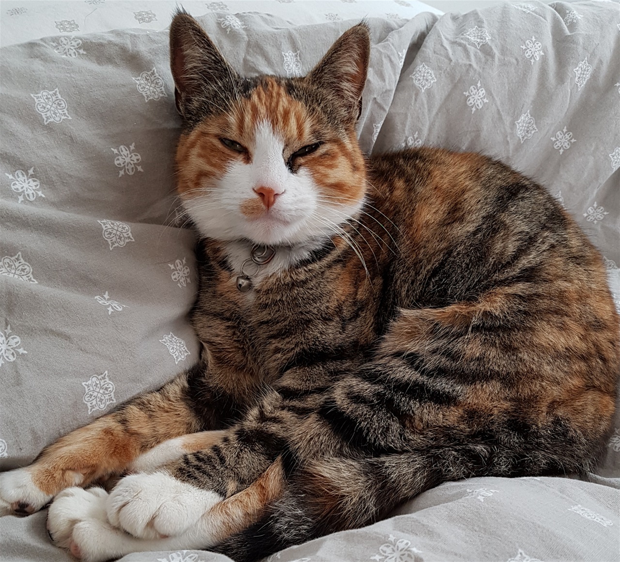 Anja. 