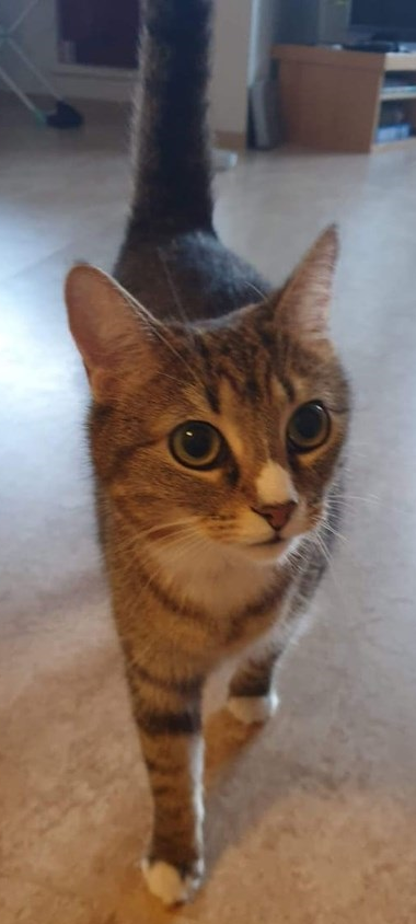 Nala.