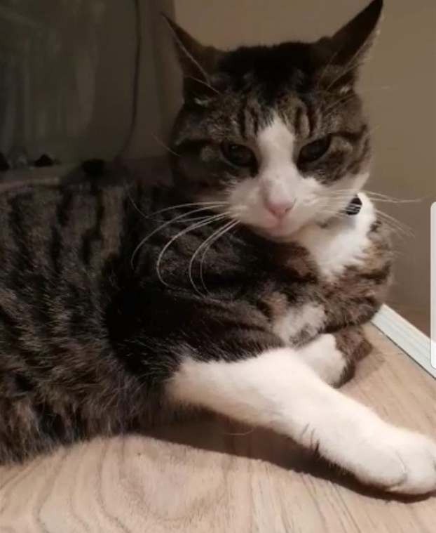 Felix.
