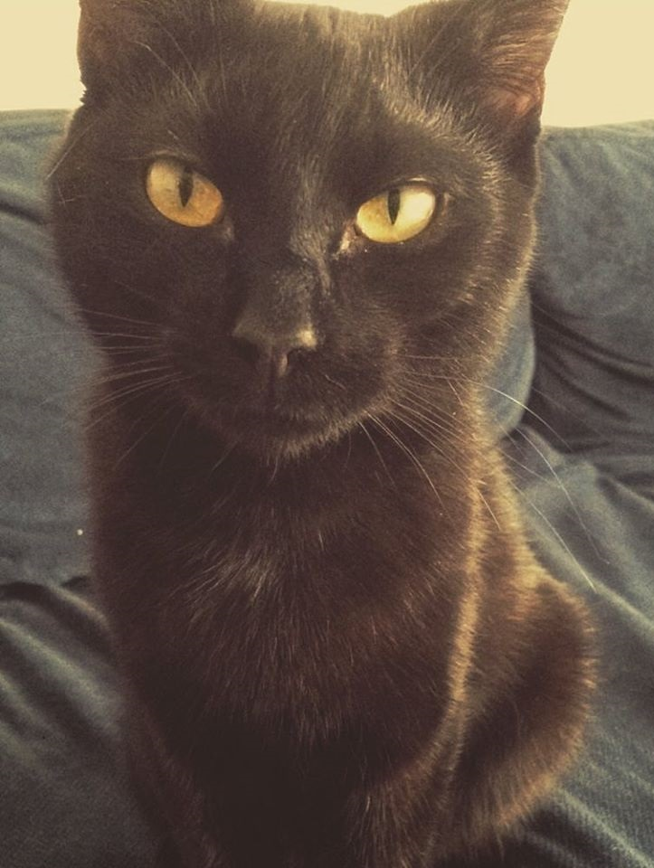 Salka.