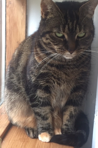 Nala.