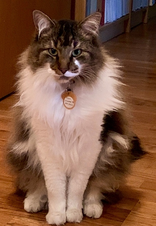Flóki.