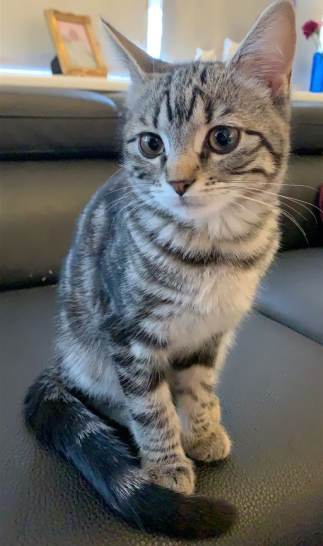 Míla.