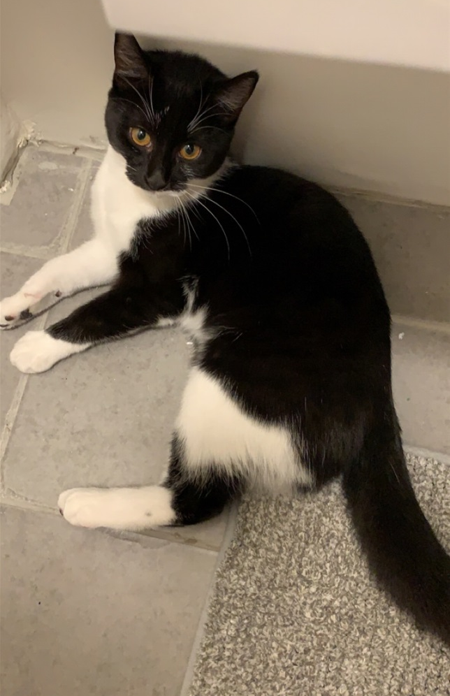 Perla.