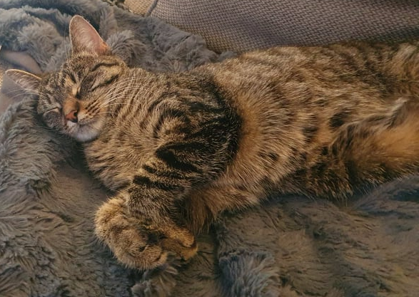 Kleópatra.