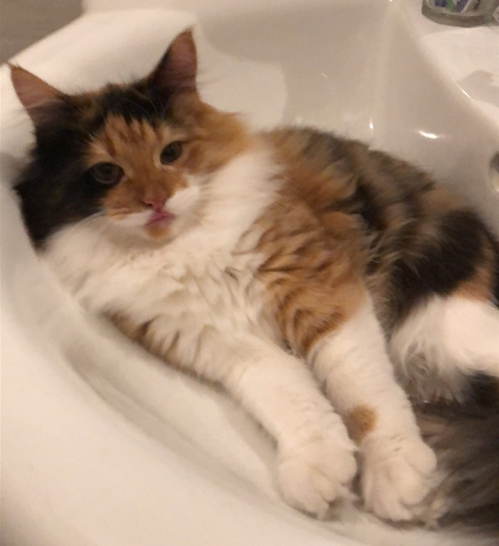 Sara.