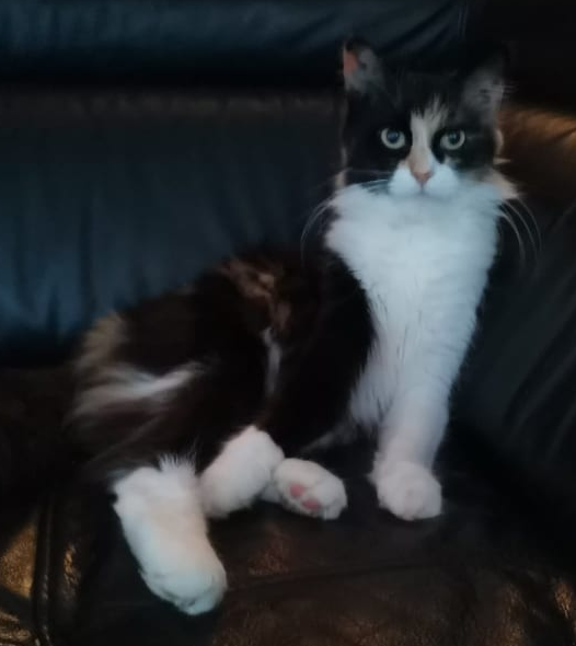 Mia.