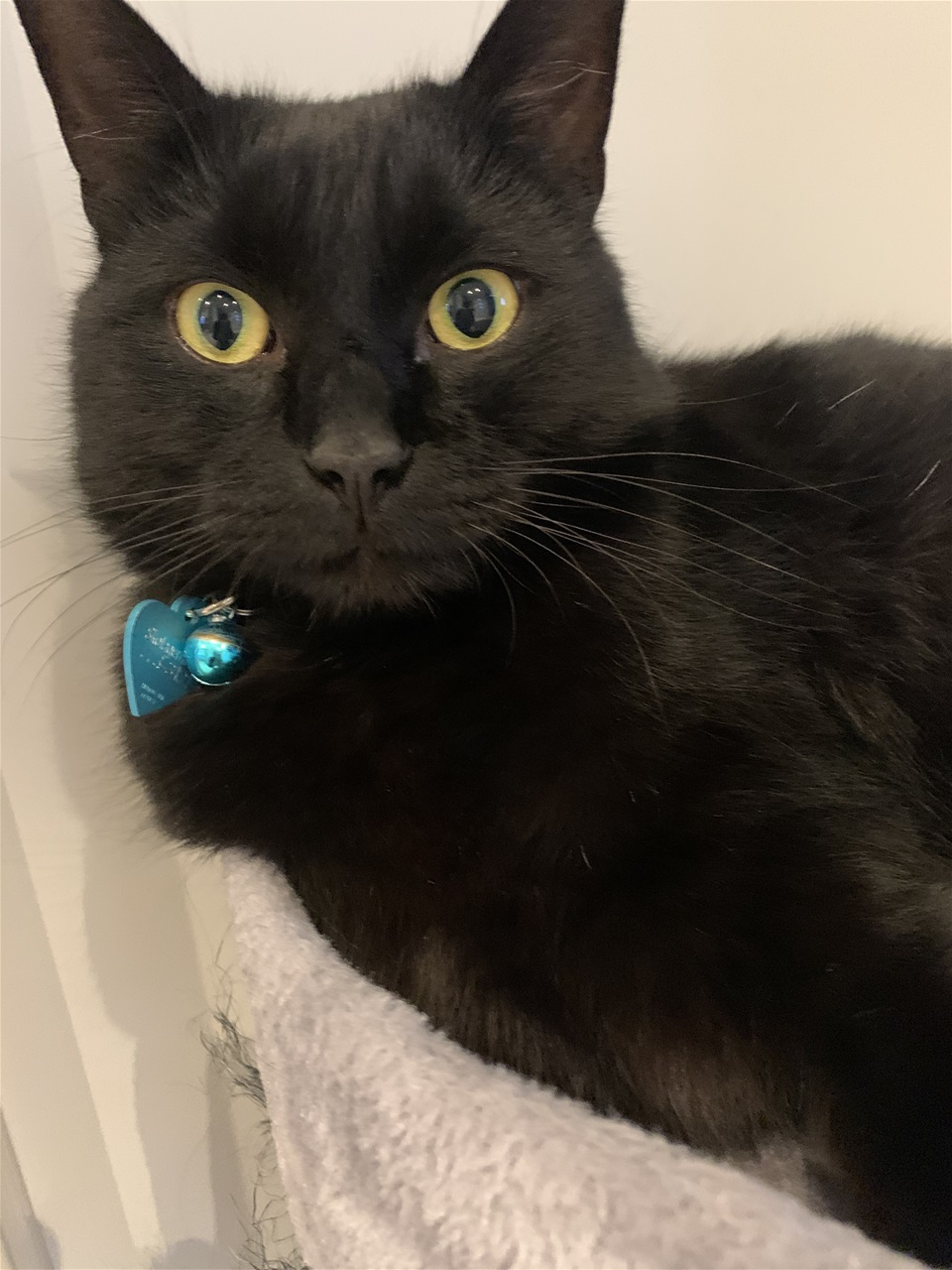 Nói. 