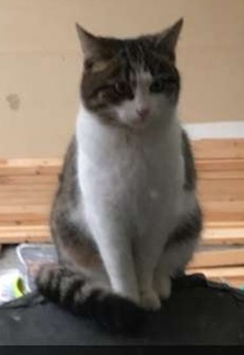 Emma. 