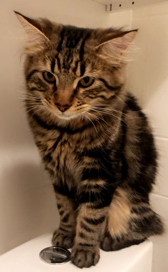 Lena.