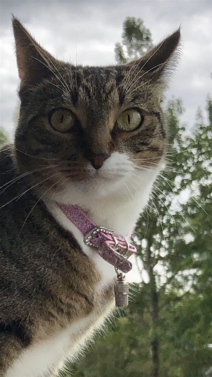 Mia. 