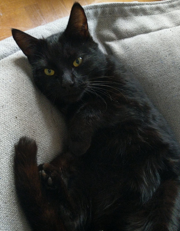 Batman,.
