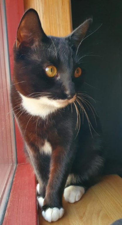 Morty. 