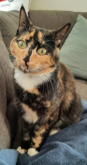 Gríma.