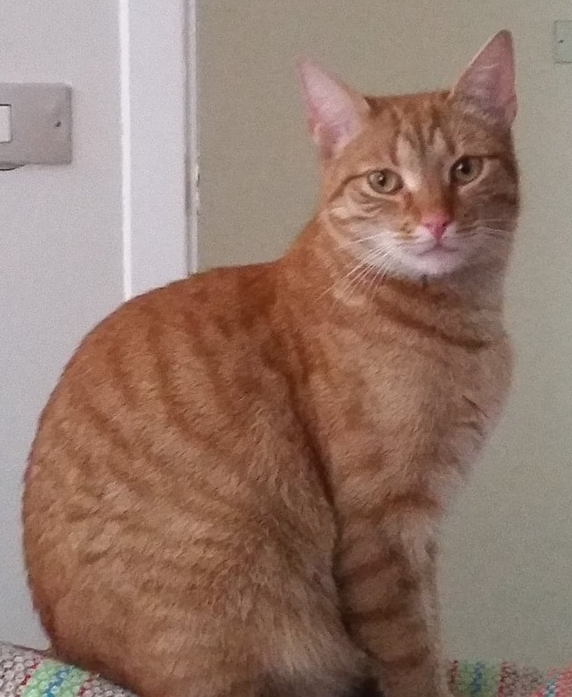 Felix.