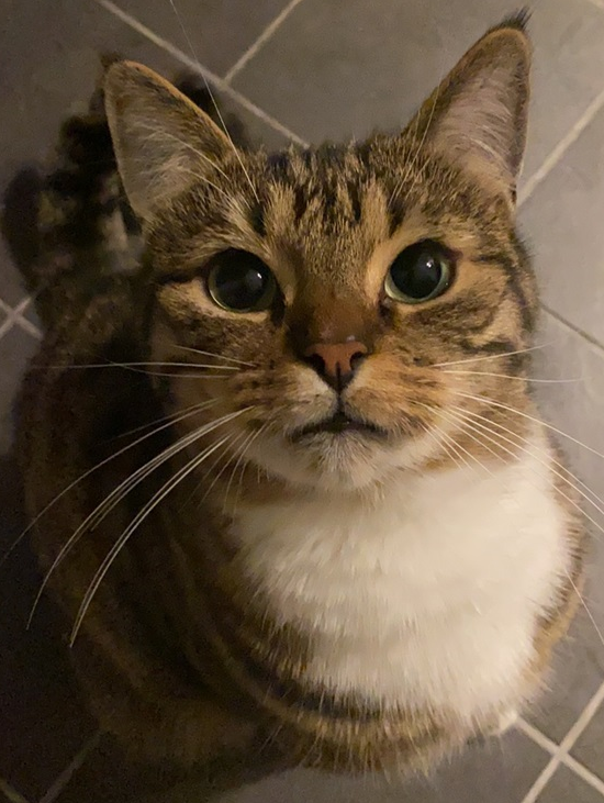 Púki. 