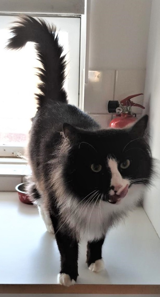 Mikki.