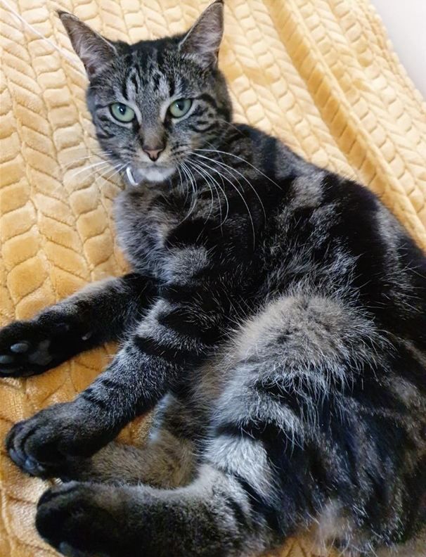 Tina.