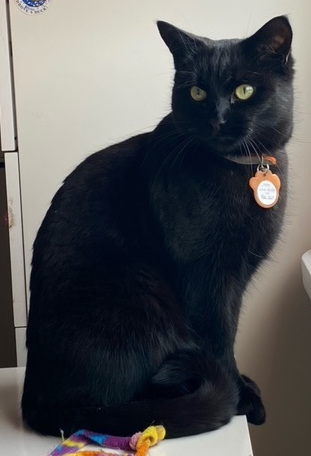 Spotti. 