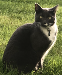 Nói.