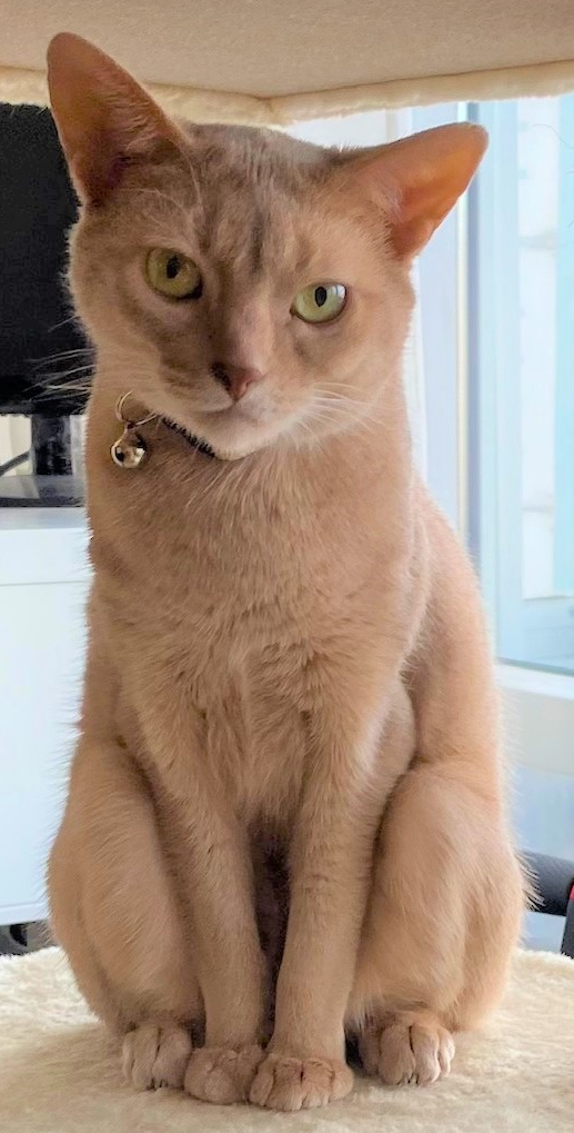 Tara. 