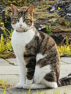 Keiko. 