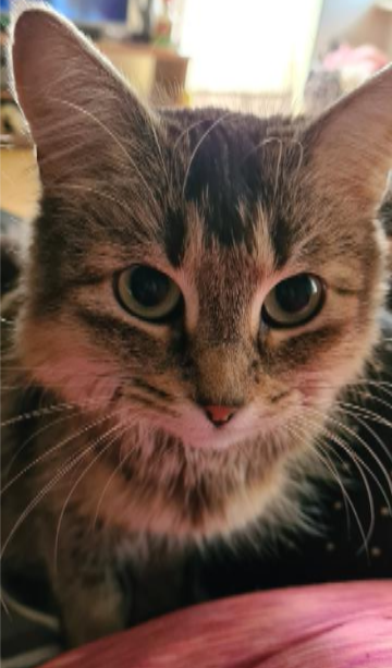 Fluffy.