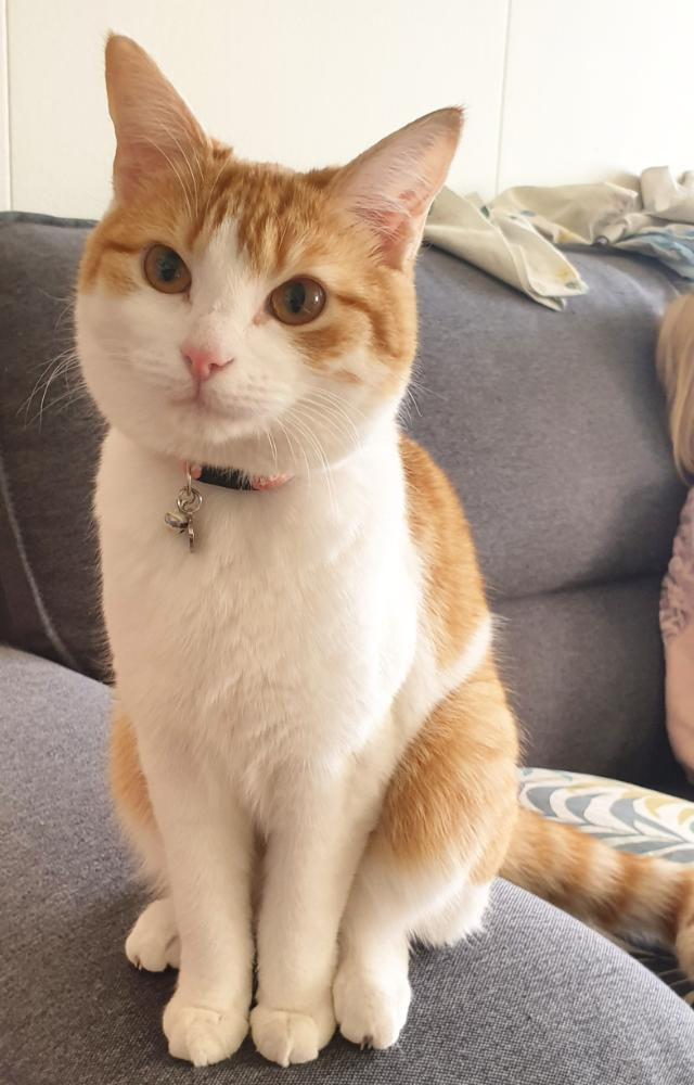 Sóla. 