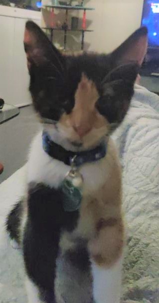 Hera.