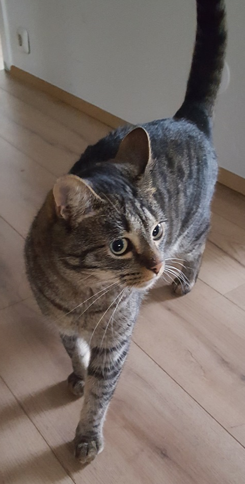 Óskar.