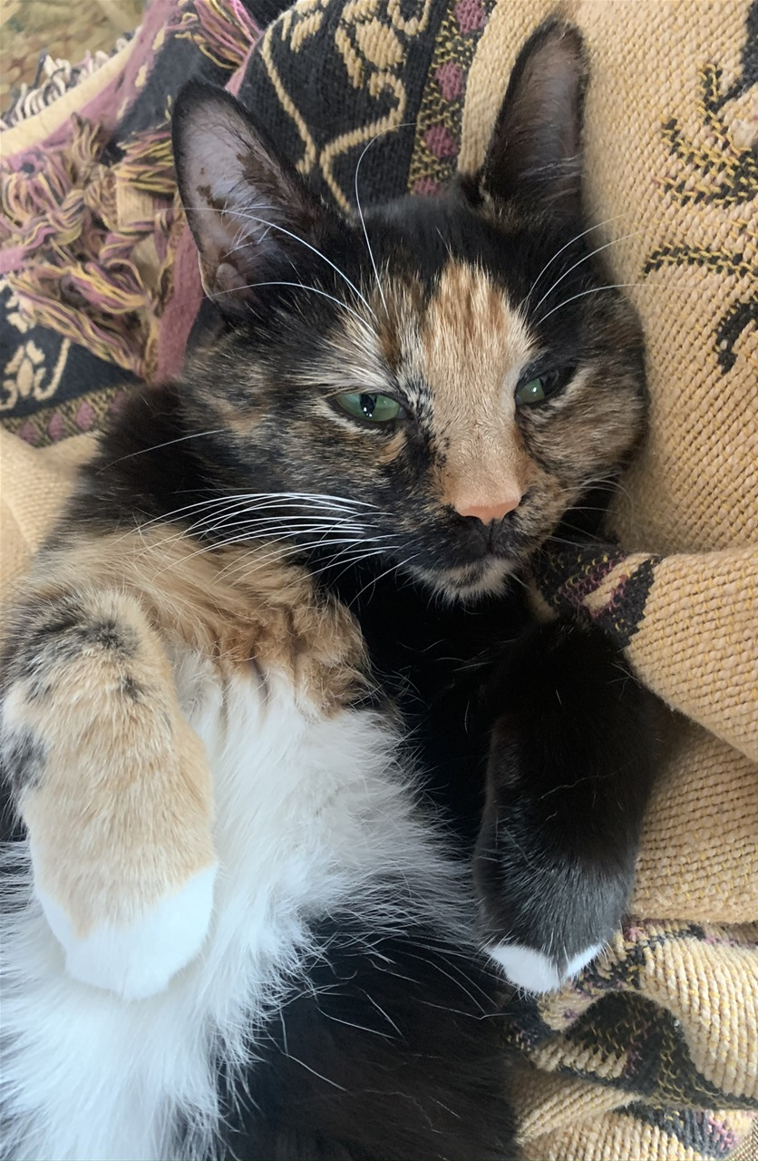 Ronja.