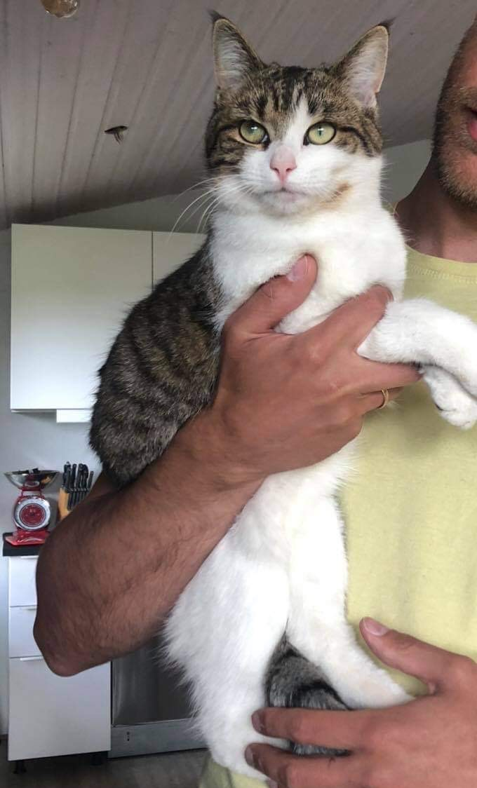 Señor / áður Siggi Tomm. 