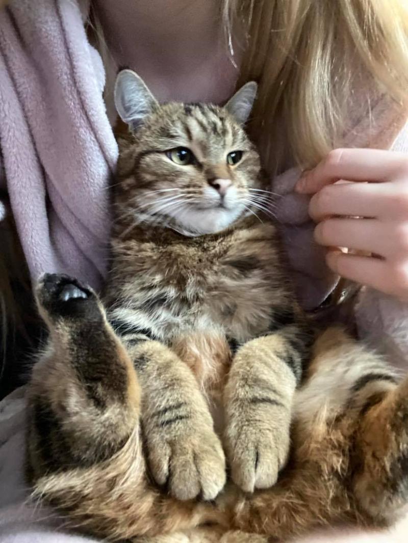 Loki. 